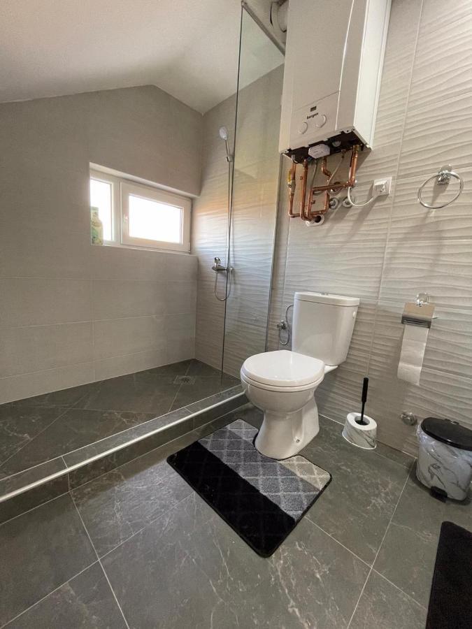 Apartman Ambijent Arandjelovac Bagian luar foto